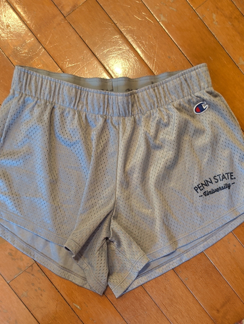 Vintage Penn State University Champion Light Gray Athletic Mesh Shorts Sz S